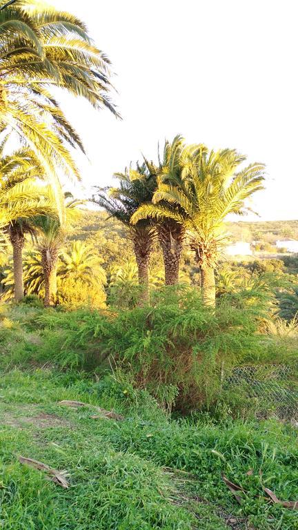 Pension Amparo Las Hayas Valle Gran Rey Ruang foto